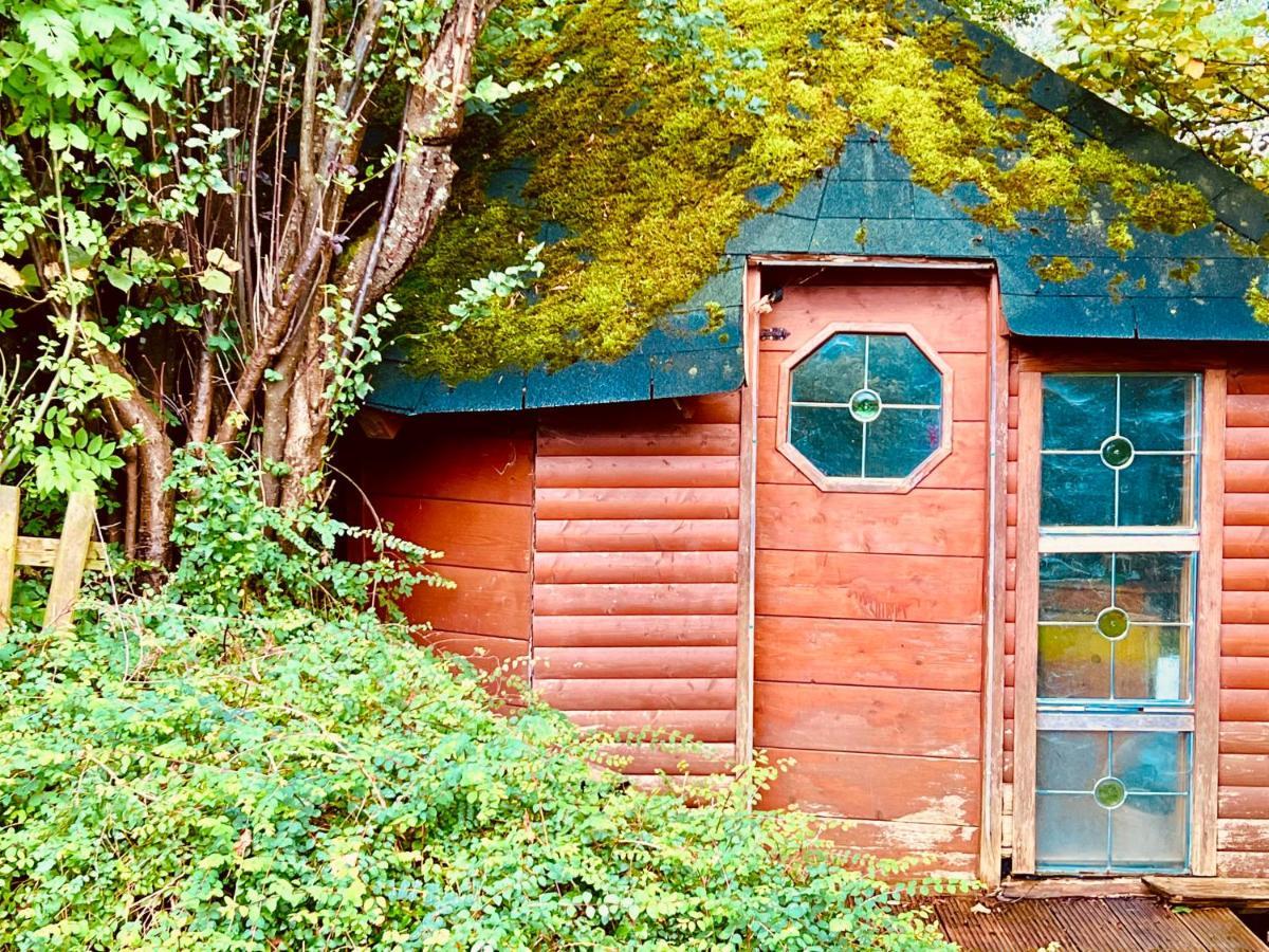 Landhaus De Gaspary 시하우젠암스타펠시 외부 사진